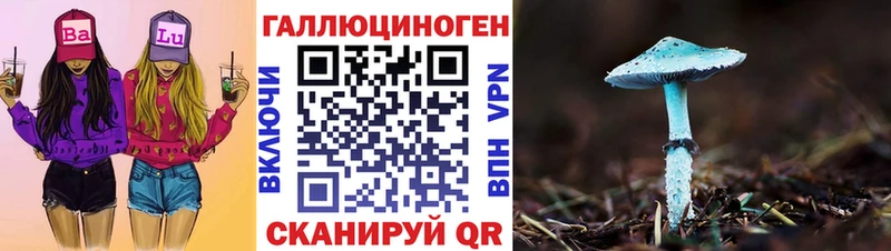 Псилоцибиновые грибы Psilocybine cubensis  Баксан 